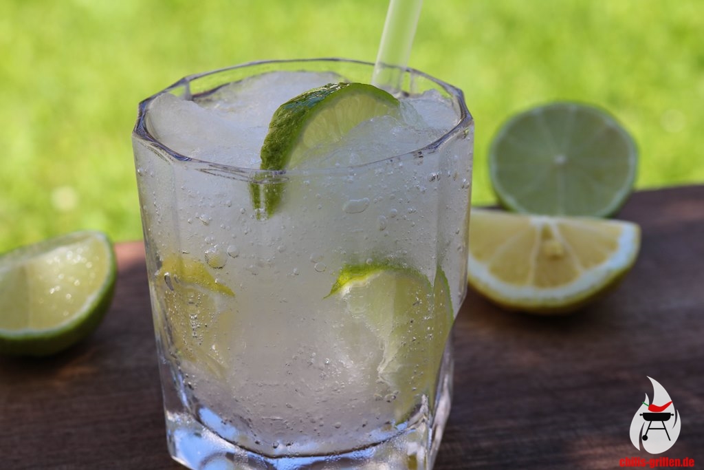 Gin Tonic Slush